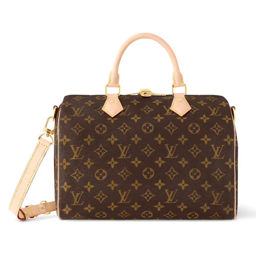 louis-vuitton-bag-price-reference-guide